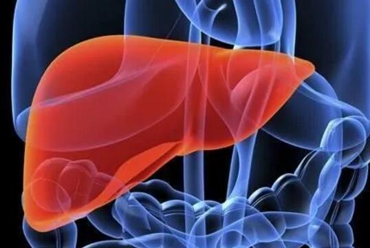 干细胞治疗乙型肝炎相关肝硬化失代偿期患者的疗效评估