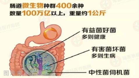 造血干细胞移植后相关腹泻临床表现及应对措施